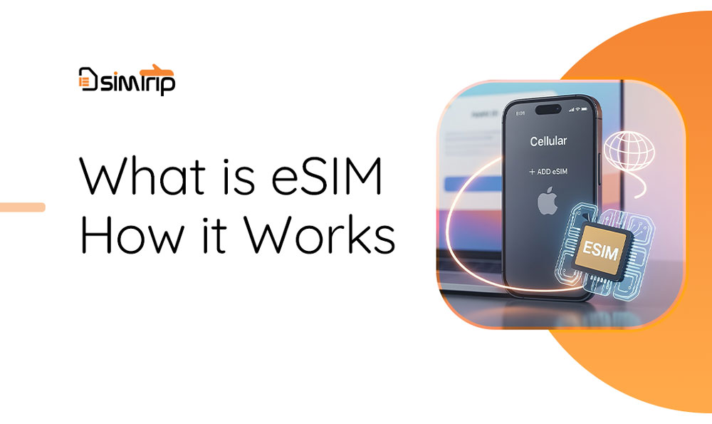 What is eSIM?